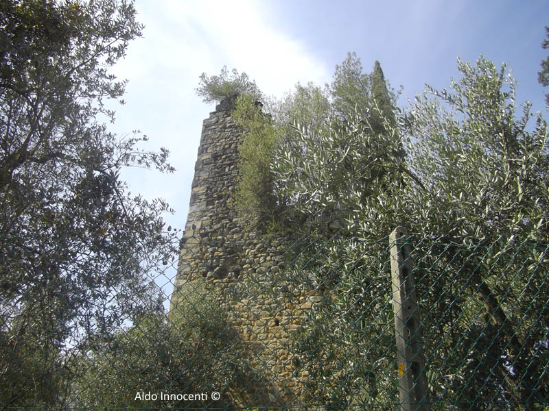 TORRE DEL VITONI 2
